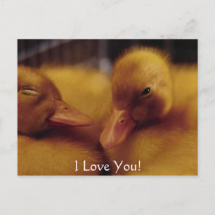 Postal Festiva Patos de bebé cortos