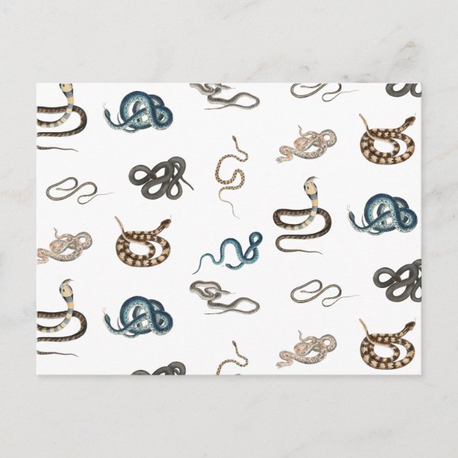 Postal Festiva Patrón animal reptil de serpientes coloridas (Anverso)