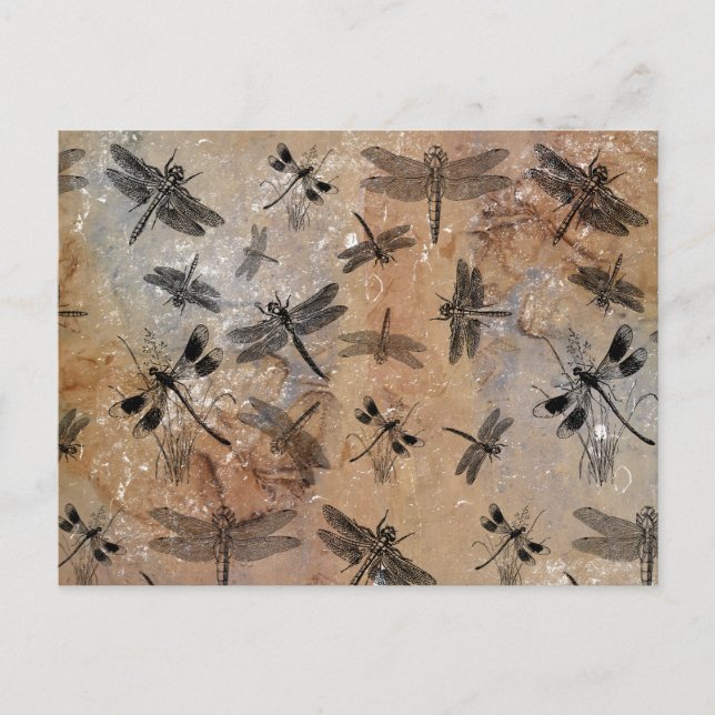 Postal Festiva Patrón de Entomología con Molestias de Dragonfly V (Anverso)