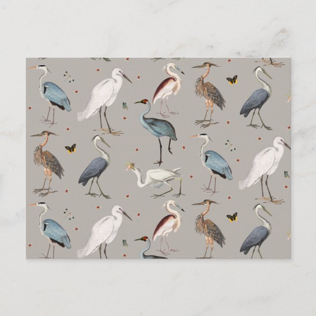 Postal Festiva Patrón de la Naturaleza de los áridos de la garza  (Anverso)