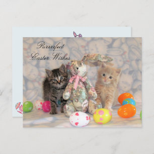 Postal Festiva Patton y Buffington Easter Cat