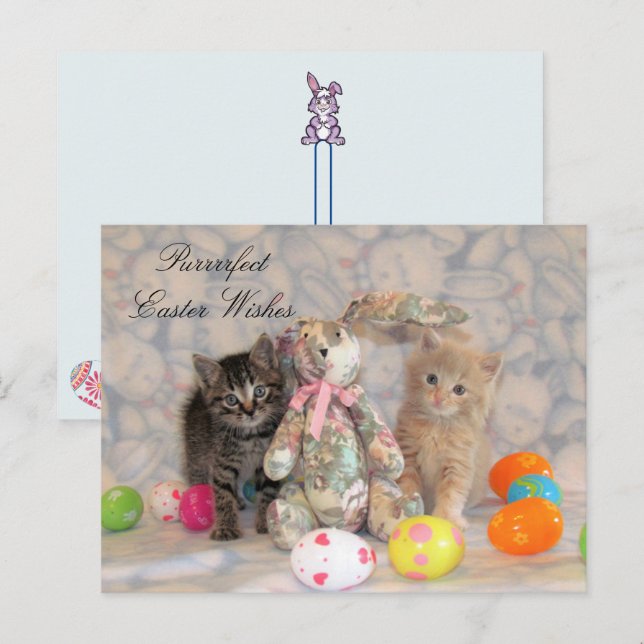 Postal Festiva Patton y Buffington Easter Cat (Anverso / Reverso)
