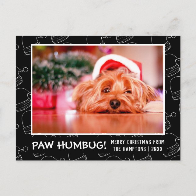 Postal Festiva Paw Humbug Mascota Foto Black Santa Hat (Anverso)