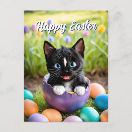Postal Festiva Paws in a Pod: El nido acogedor Egg-stra de Felini