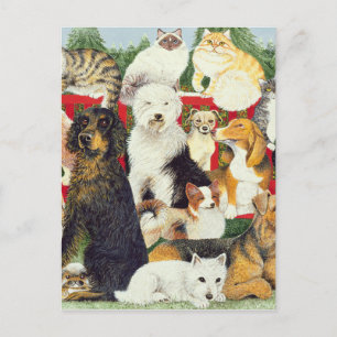 Postal Festiva Paz de navidades