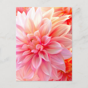 Postal Festiva Peach Rubor Dahlia Blossom