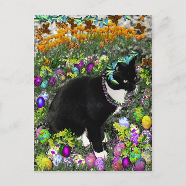 Postal Festiva Pecas en la caza para los huevos de Pascua (Anverso)