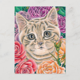 Postal Festiva "Peek-a-Boo" postcard