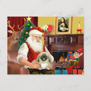 Postal Festiva Pekinés de Santa