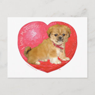 Postal Festiva Pekingese / Shih Tzu Mix Día de San Valentín
