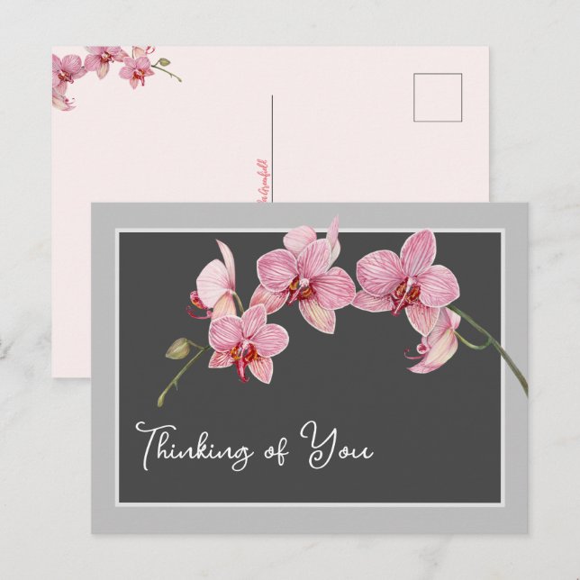 Postal Festiva Pensando en las orquídeas de polilla rosada (Anverso / Reverso)