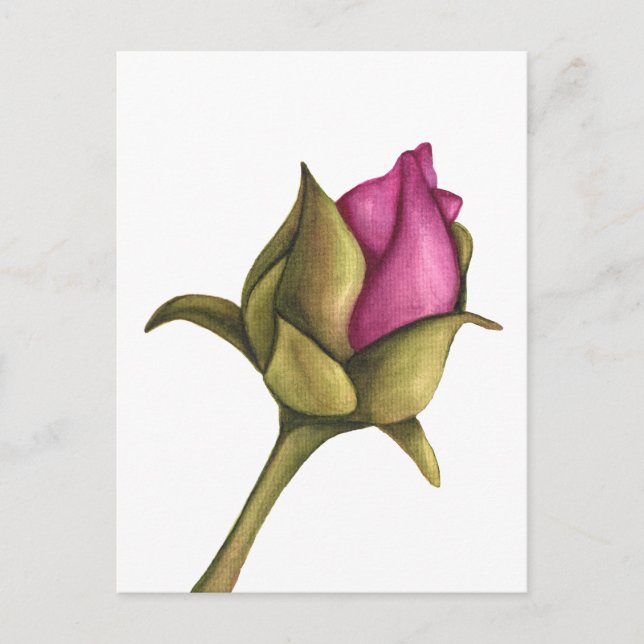 Postal Festiva peony bud (Anverso)