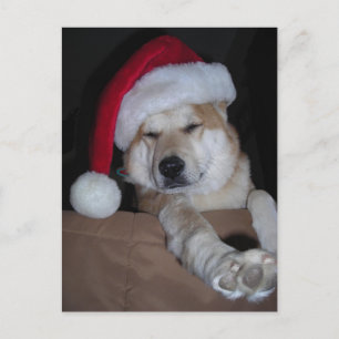 Postal Festiva Pequeña ayudante Shiba-Inu de Santa María