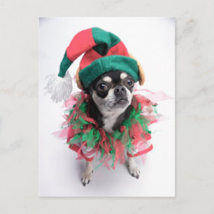 Postal Festiva Pequeño perro del duende del ayudante de Santa