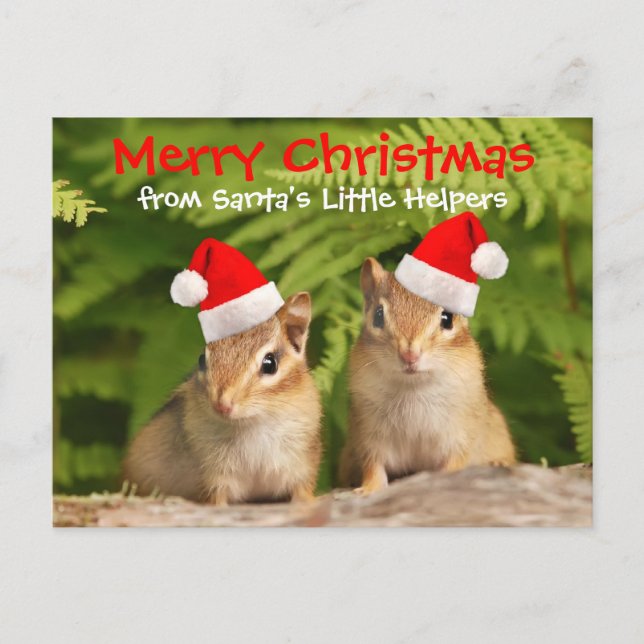 Postal Festiva Pequeños Chipmunks del bebé de los ayudantes de (Anverso)