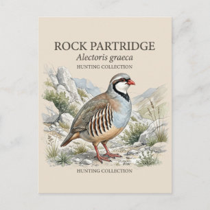 Postal Festiva Perdiz Griega, Alectoris Graeca Aves de Caza
