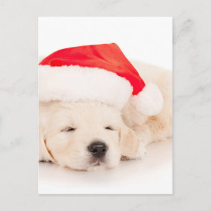 Postal Festiva Perrito del golden retriever de Santa