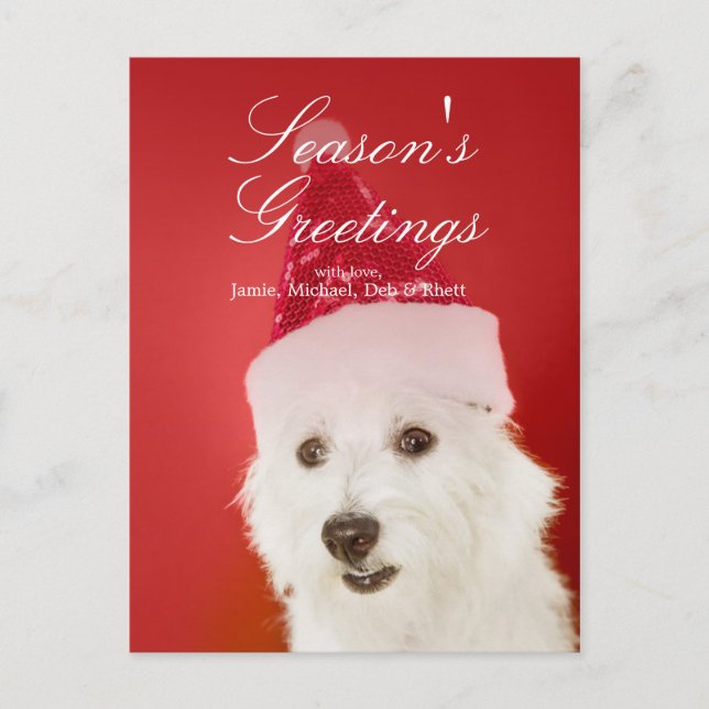 Postal Festiva Perro blanco con sombrero Santa (Anverso)