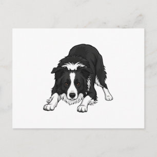 Postal Festiva Perro Border Collie