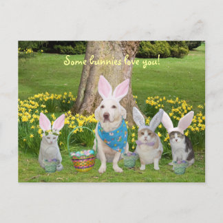 Postal Festiva Perro conejo con gatos conejitos