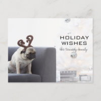 Perro de cerdo con cuernos de reno en el sofá