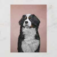 Perro de montaña Bernés de dibujo