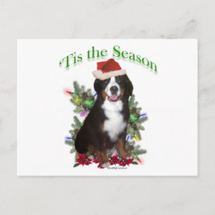 Postal Festiva Perro de montaña Bernese ‘Esto