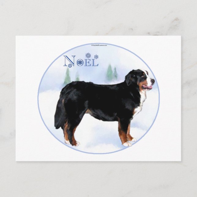 Postal Festiva Perro de montaña Noel Bernese (Anverso)
