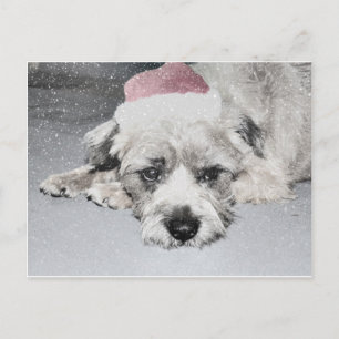 Postal Festiva Perro de pequeños navidades tristes