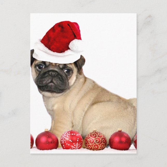 Postal Festiva Perro de pug de navidades (Anverso)