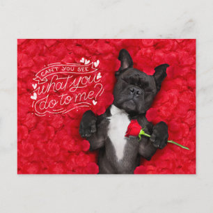 Postal Festiva Perro Divertido y Rosas Rojas Feliz Día de San Val