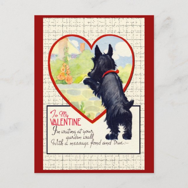 Postal Festiva Perro escocés Valentine Scottish Terrier (Anverso)