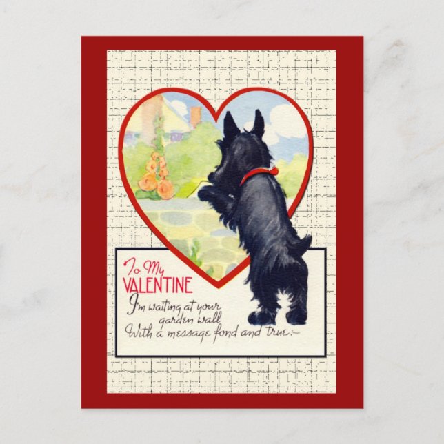 Postal Festiva Perro escocés Valentine Scottish Terrier (Anverso)