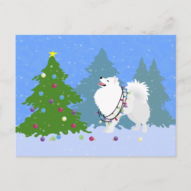 Postal Festiva Perro esquimal americano decorando árbol de Navida (Anverso)