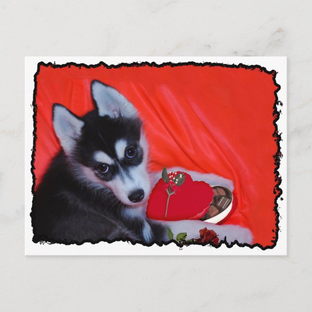 Postal Festiva Perro Husky de San Valentín (Anverso)