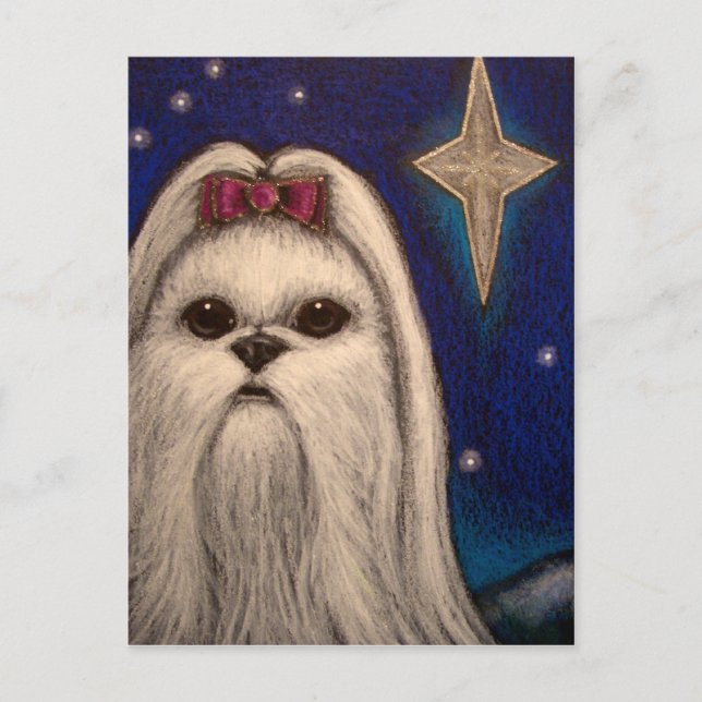 POSTAL FESTIVA PERRO MALTÉS DEL DÍA DE FIESTA - ESTRELLA 1 DE (Anverso)
