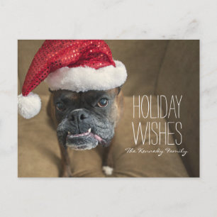 Postal Festiva Perro navideño