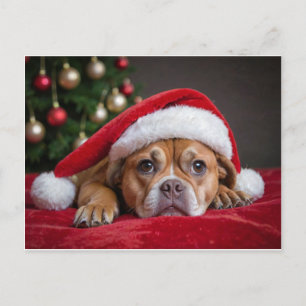 Postal Festiva Perro navideño