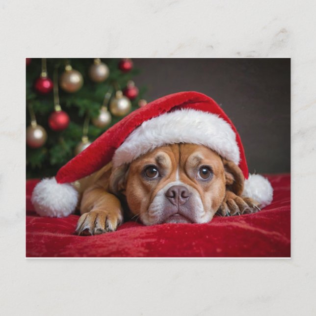 Postal Festiva Perro navideño (Anverso)