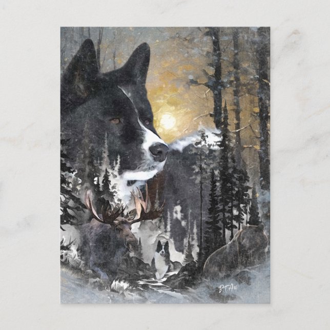 Postal Festiva Perro oso de Carelia (Anverso)