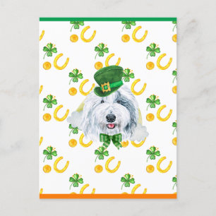 Postal Festiva Perro pastor inglés antiguo Shamrock Día de San Pa