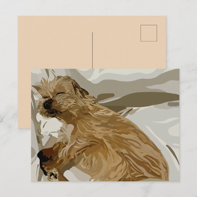 Postal Festiva Perro pequeño Daisy (Anverso / Reverso)