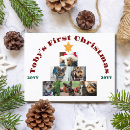 Postal Festiva Perro primer árbol fotográfico de Navidad, Mascota