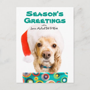 Postal Festiva Perro que lleva el gorra de santa, llevando a cabo