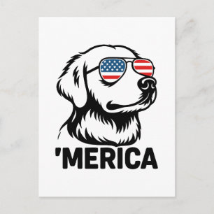 Postal Festiva Perro Recuperador 4 De Julio De Merica