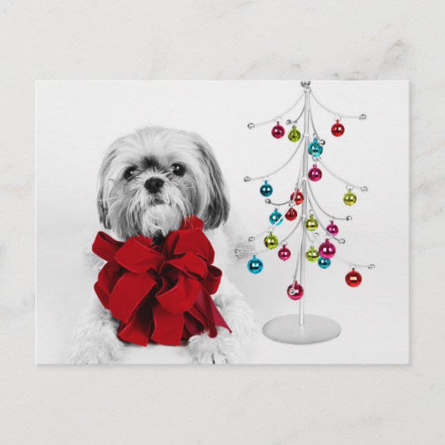 Postal Festiva Perro Shih Tzu con arco rojo por un árbol de Navid (Anverso)