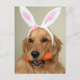 Postal Festiva Perro SIlly Golden Retriever con orejas de conejo 