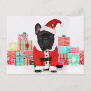 Postal Festiva perro vestido de Santa delante de Navidades