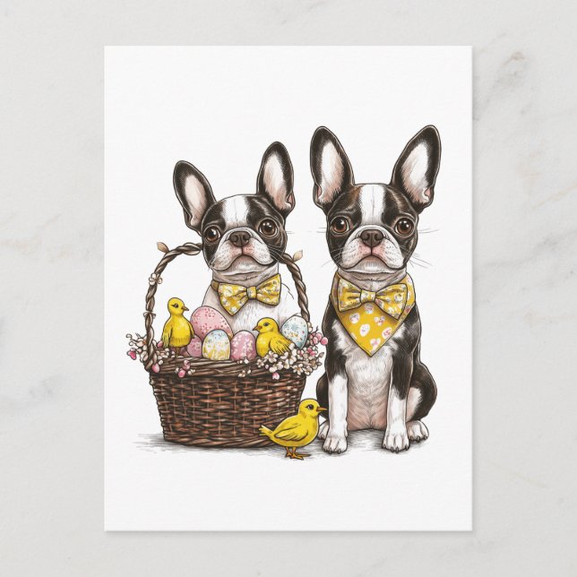 Postal Festiva Perros de Pascua de Boston Terrier (Anverso)