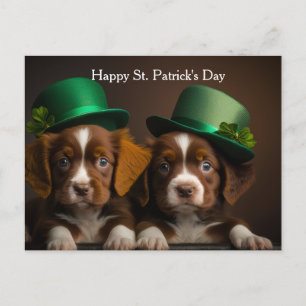 Postal Festiva perros del día de San Patricio